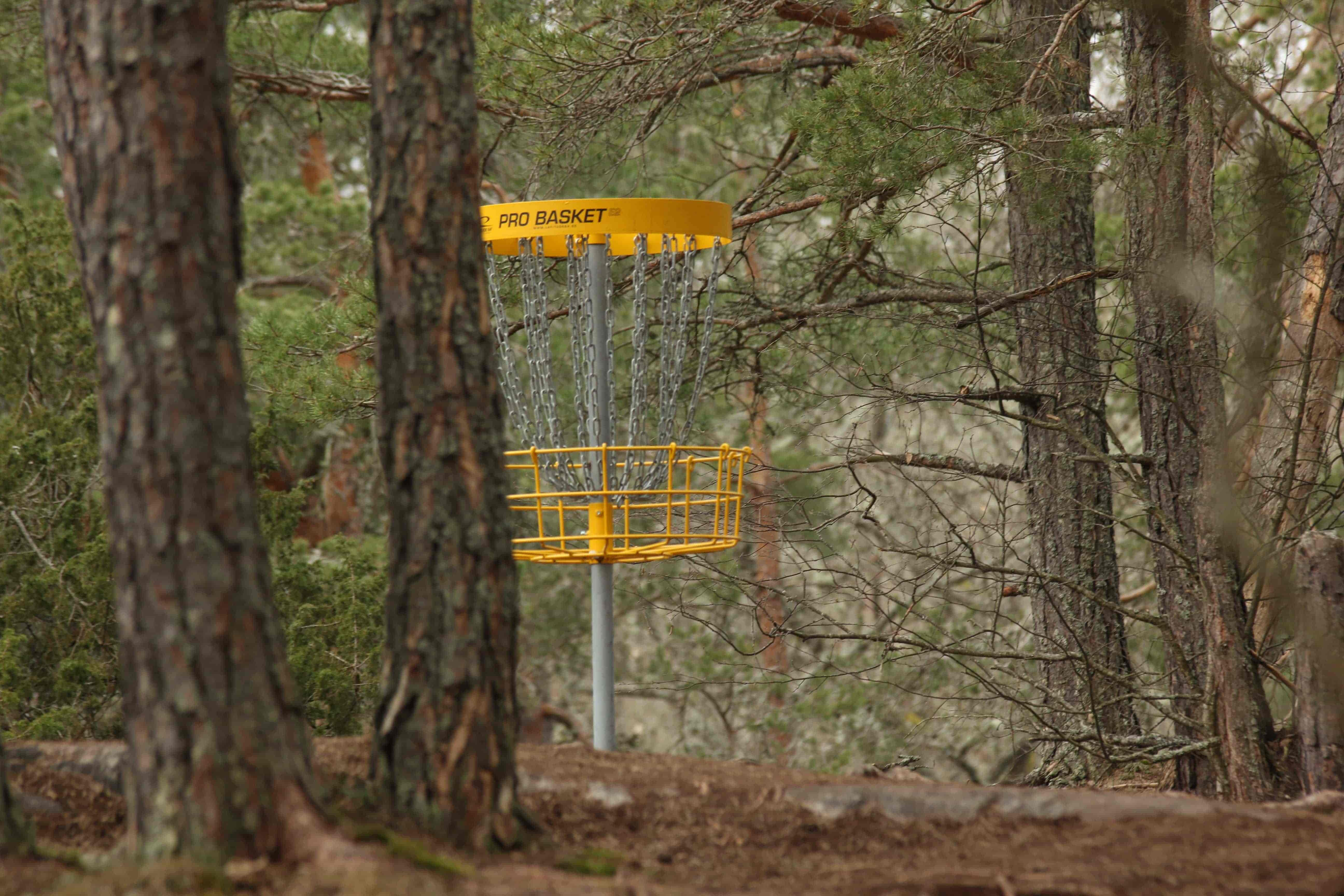 Basket where frisbee is thrown